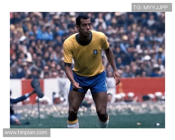 巴西足球传奇球星精彩瞬间全集百度云资源分享